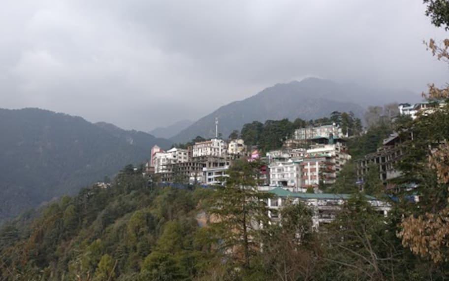 Dharamshala Namgyal Monastery Landscape Image