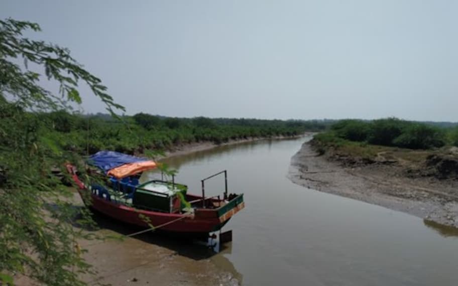 Digha Bichitrapur Mangrove Sanctuary Landscape Image