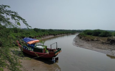 Bichitrapur Mangrove Sanctuary