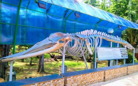 Marine Aquarium and Regional Centre