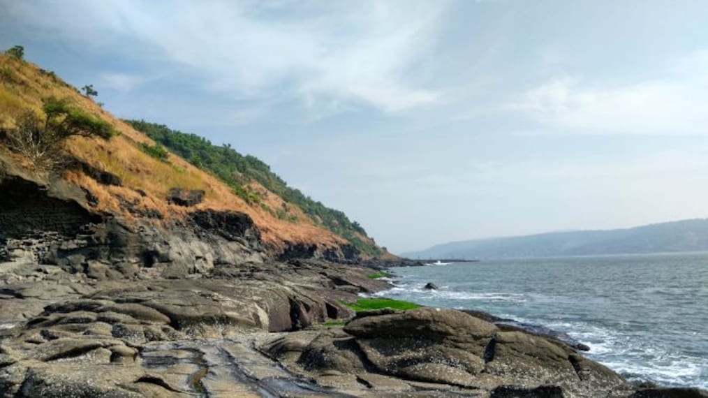 Diveagar Harihareshwar Beach Landscape Image