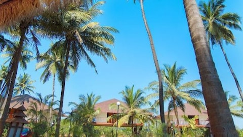 Exotica The Sea View