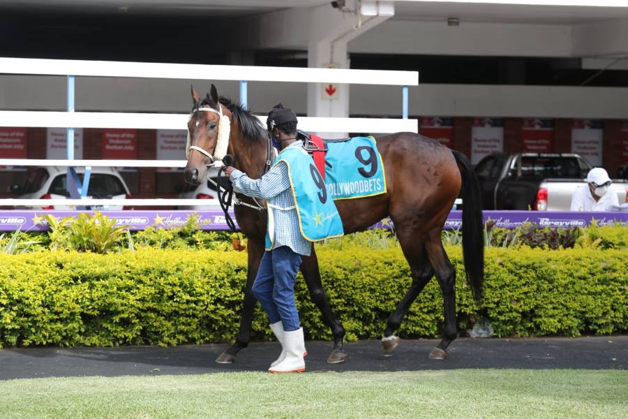 Durban_Hollywoodbets_Greyville_Racecourse_3