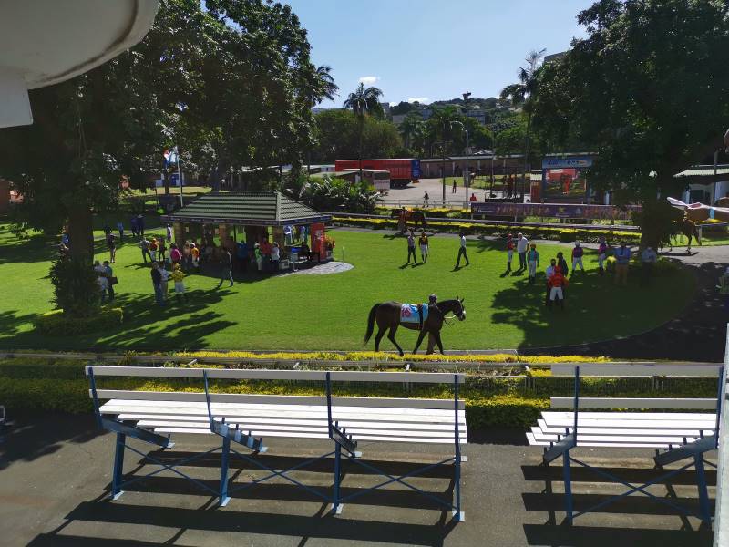 Durban_Hollywoodbets_Greyville_Racecourse_5