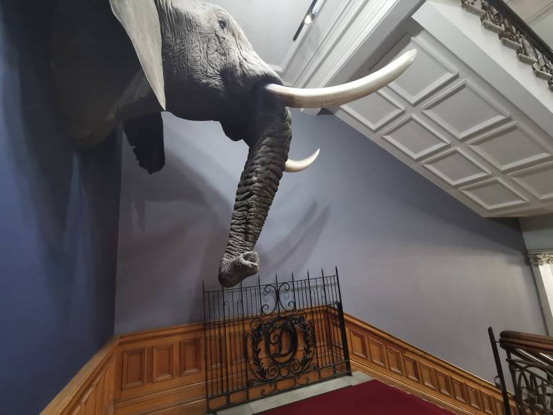 Durban_Natural_Science_Museum_3