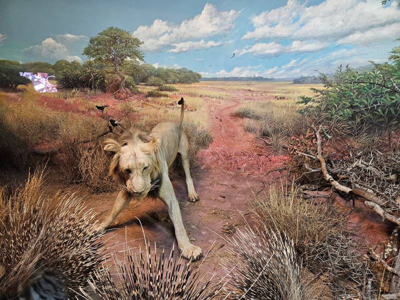 Durban_Natural_Science_Museum_9