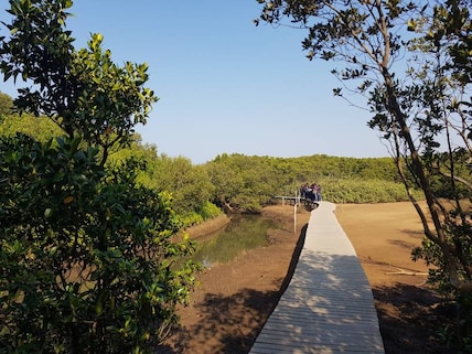 Beachwood Mangroves Nature Reserve
