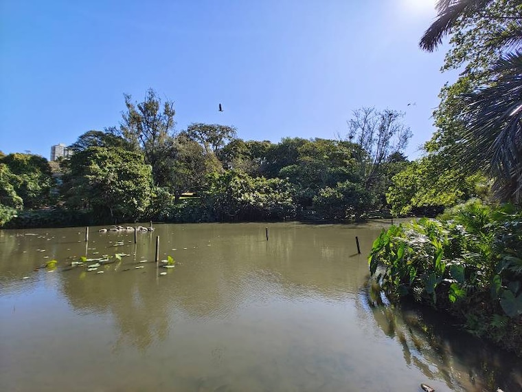 Durban_Botanic_Gardens_6