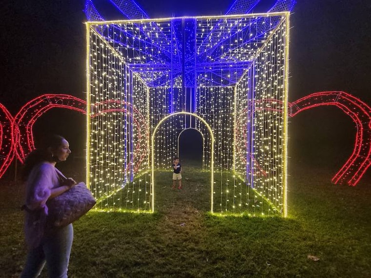 Durban_Botanic_Gardens_9