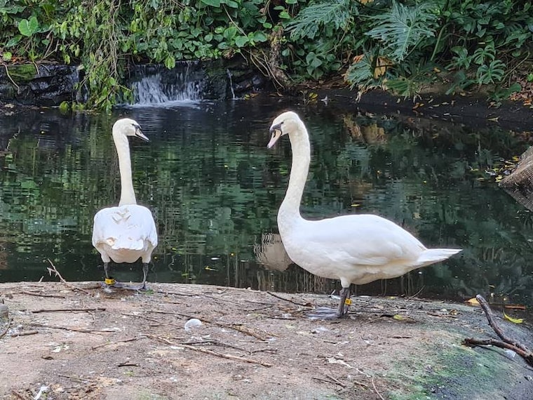 Durban_Umgeni_River_Bird_Park_6