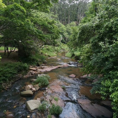 Paradise Valley