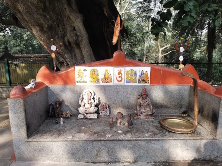 Rahreswar_Shiv_Temple_2