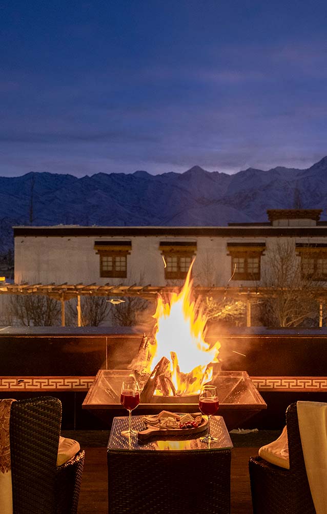 Bonfire Barbecue Dinner