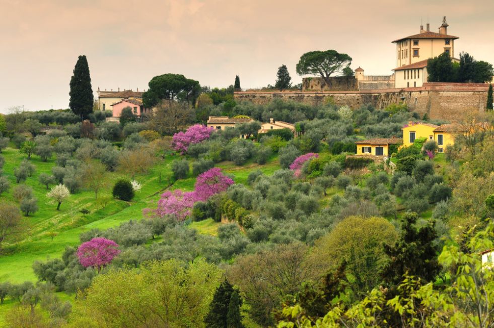 Forte_di_Belvedere_2
