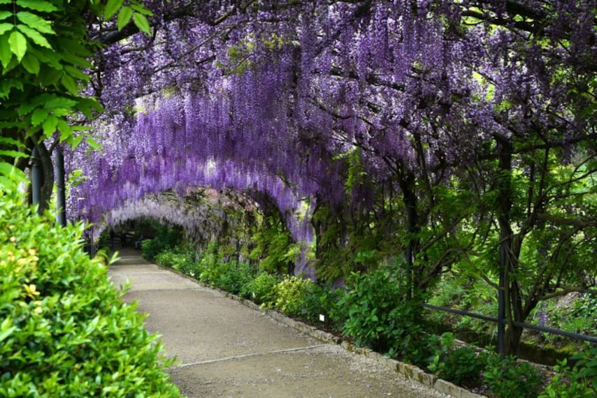 Bardini_Gardens_1