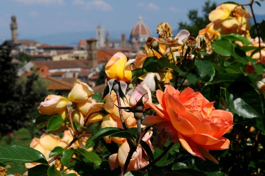 Rose_Garden_3