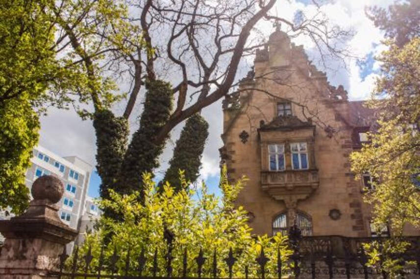 frankfurt_liebieghaus