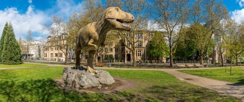 Senckenberg Natural History Museum