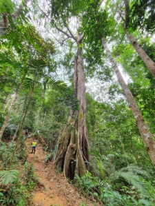 Genting_Highlands_Awana_Horse_Ranch_1
