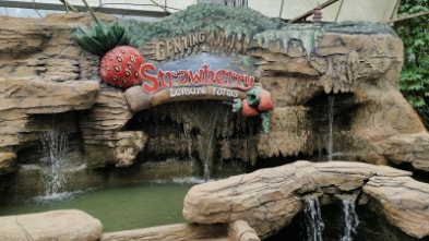 Genting_Highlands_Genting_Strawberry_Leisure_Farm_1