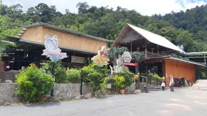 Genting_Highlands_Happy_Bee_Farm_Genting_10