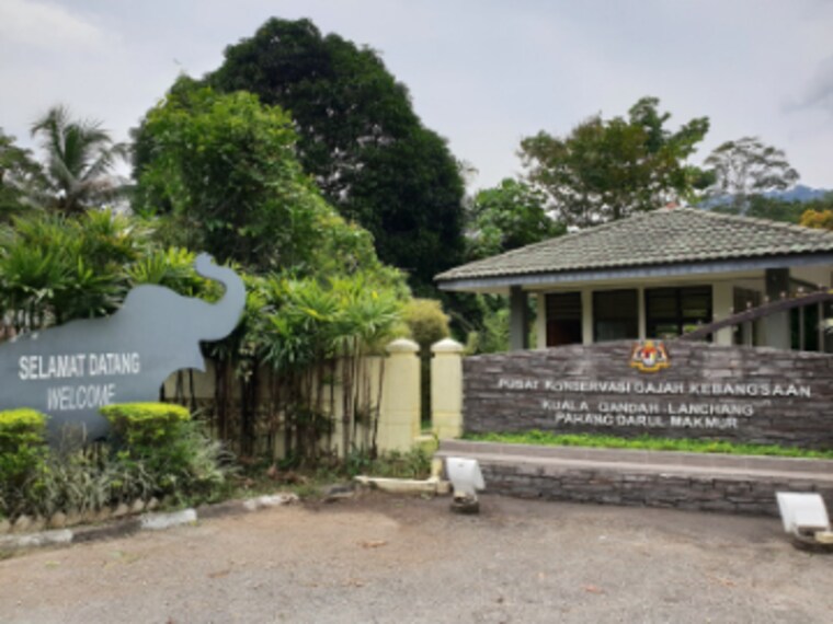 Genting_Highlands_Kuala_Gandah_Elephant_Conservation_Centre_2