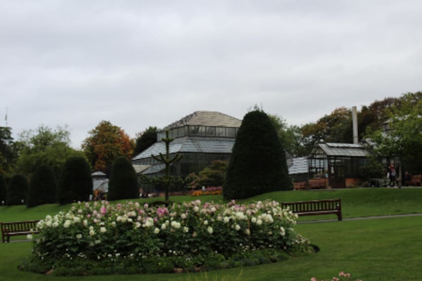 Glasgow_Botanic_Gardens_8