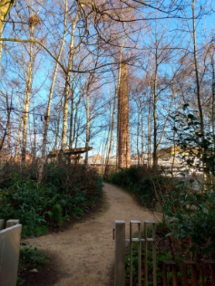 Glasgow_Hidden_Gardens_5