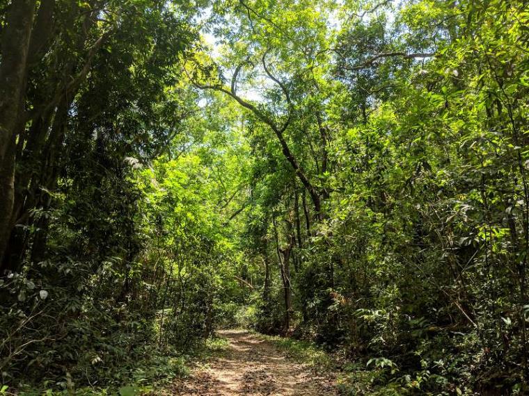 Goa_Cotigao_Wildlife_Sanctuary_1