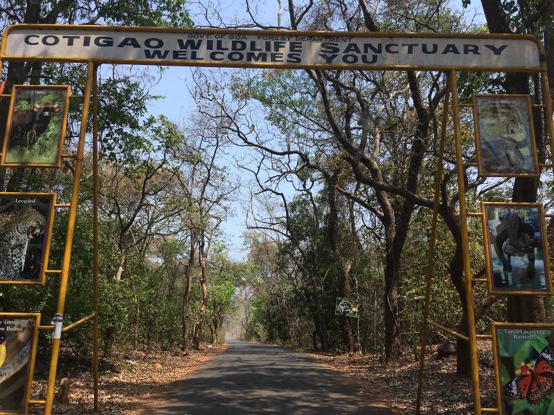 Goa_Cotigao_Wildlife_Sanctuary_3
