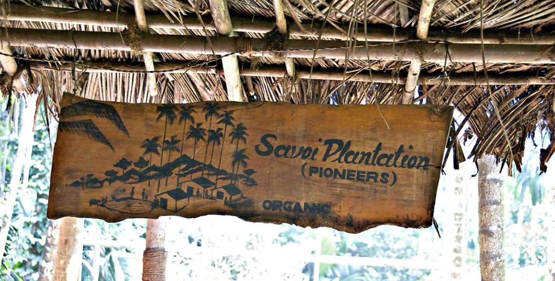 Goa_Savoi_Plantation_Savoi-Varem_1