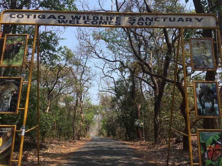 Goa_Cotigao_Wildlife_Sanctuary_3