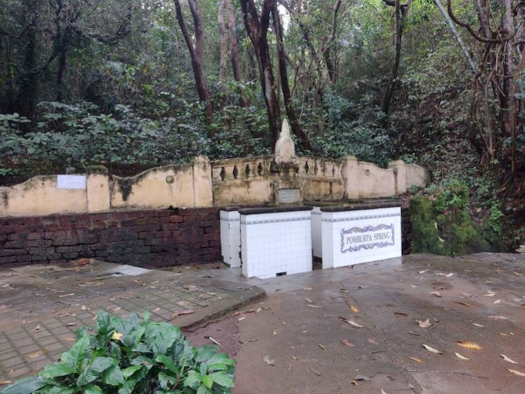 Goa_Pompurba_Spring_North_Goa_2