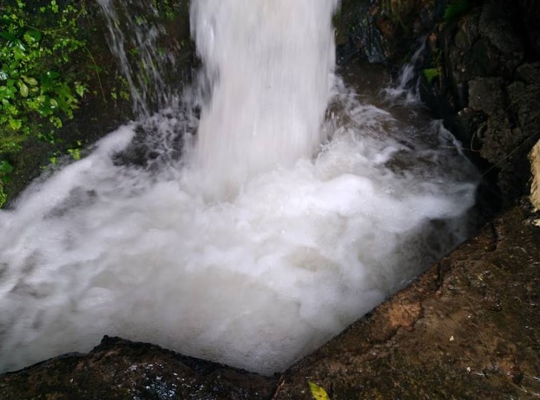 Goa_Pompurba_Spring_North_Goa_4