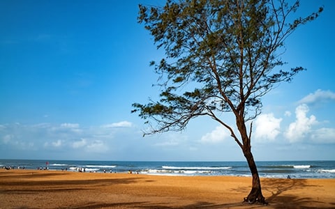 Calangute Beach, Goa