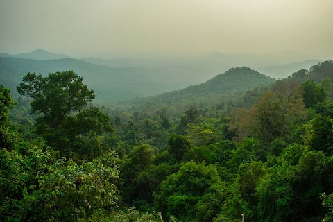 Bhagwan Mahaveer Wildlife Sanctuary