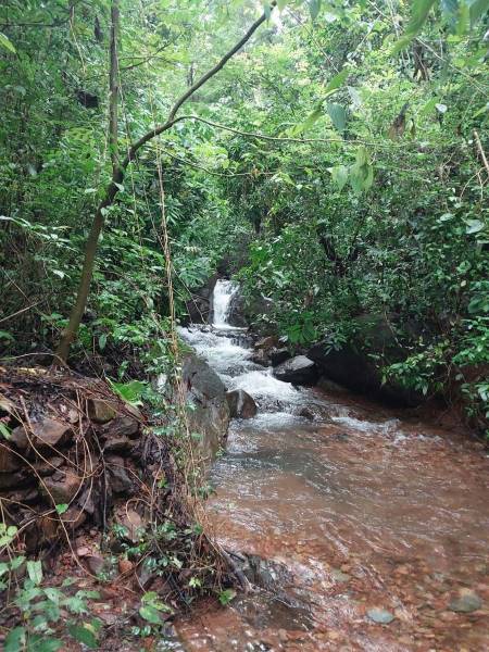 Goa_Bamanbudo_Waterfalls_6