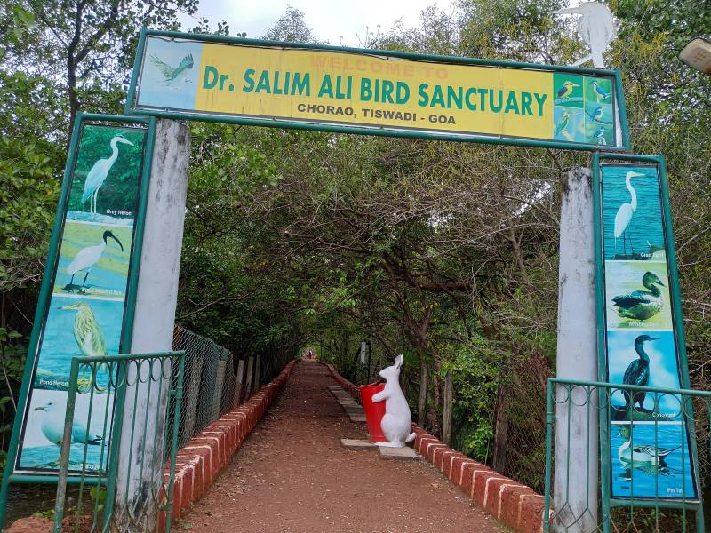 Goa_Dr._Salim_Ali_Bird_Sanctuary_1