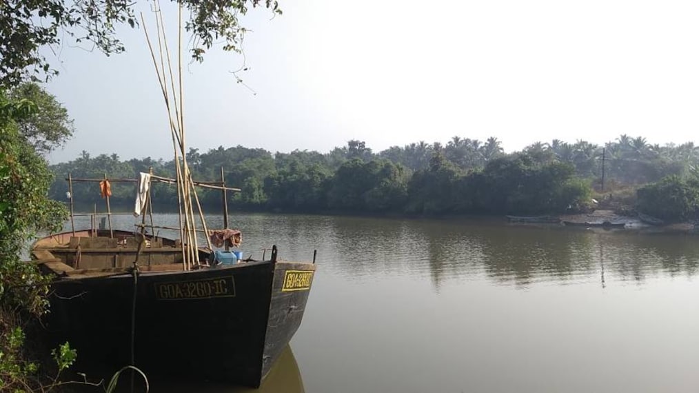 Goa_Cumbarjua_Canal_1