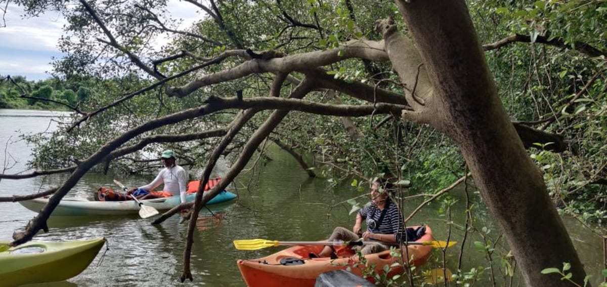 Goa_Cumbarjua_Canal_6