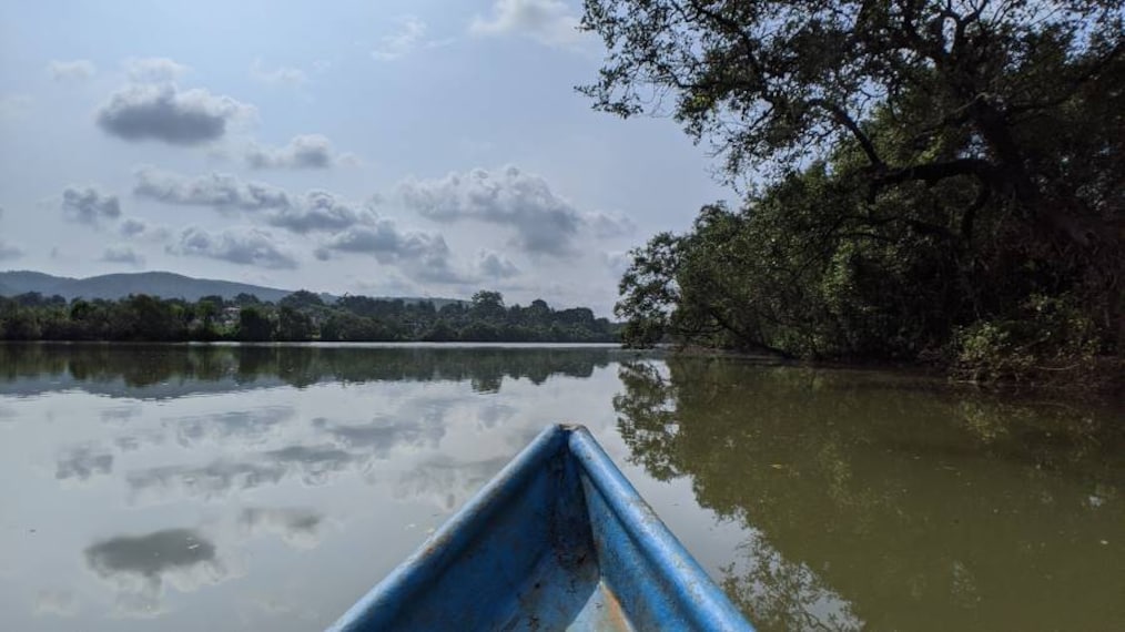 Goa_Cumbarjua_Canal_7