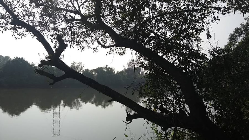 Goa_Cumbarjua_Canal_9