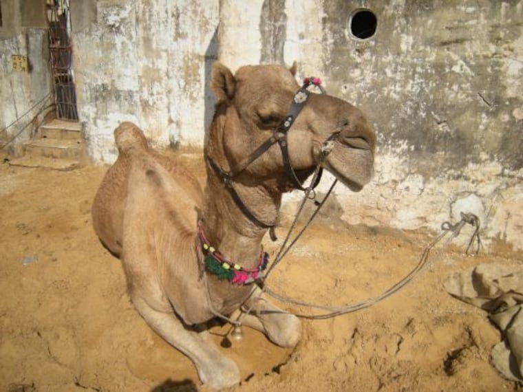 Gokarna Koti Tirtha Landscape Image