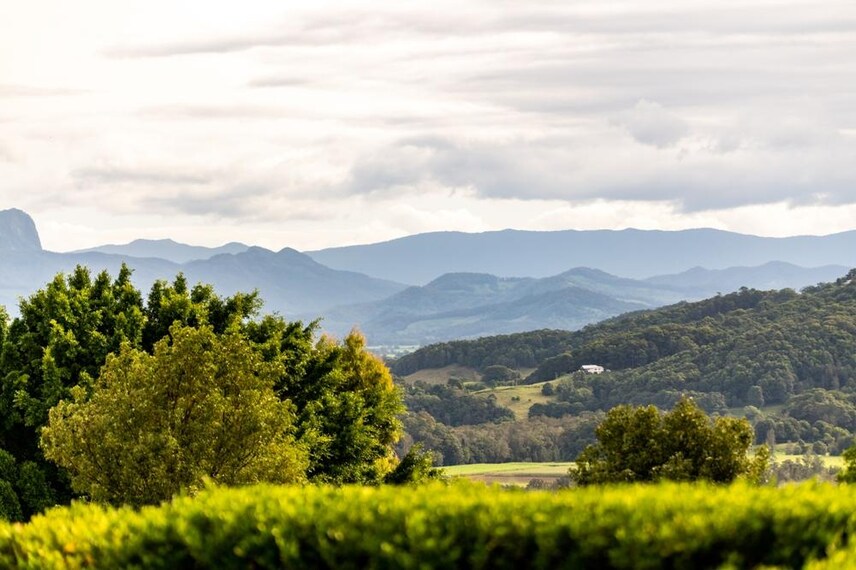 Byron_Bay_Hinterland_2