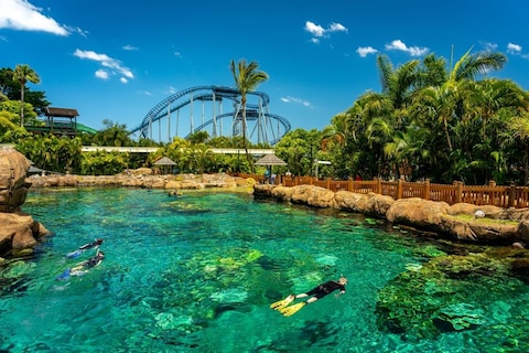 Gold Coast Snorkelling
