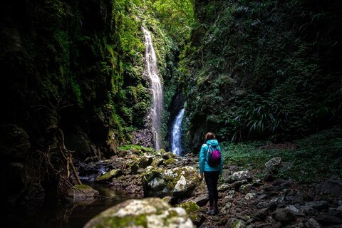 Lamington National Park