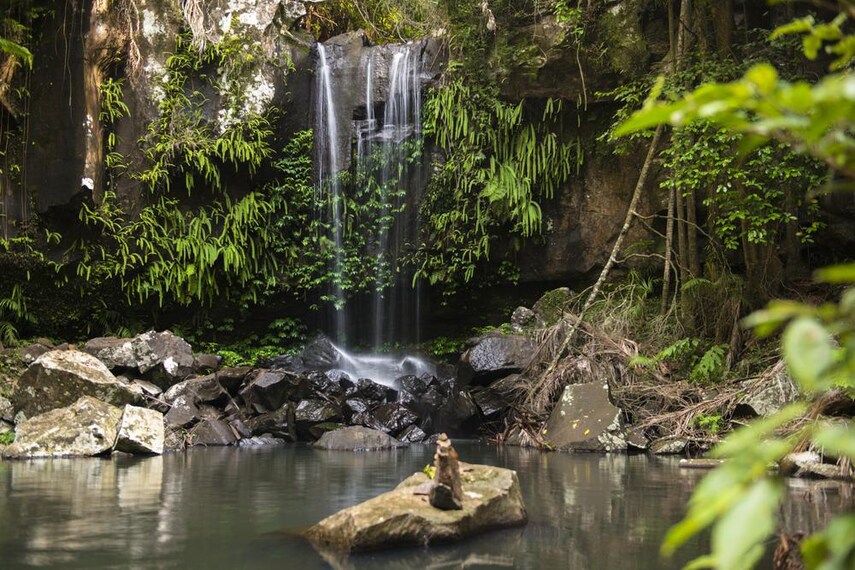 Tamborine_Mountain_1