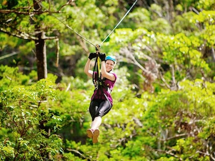 Treetop Challenge