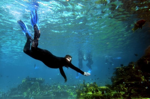 Heli Diving