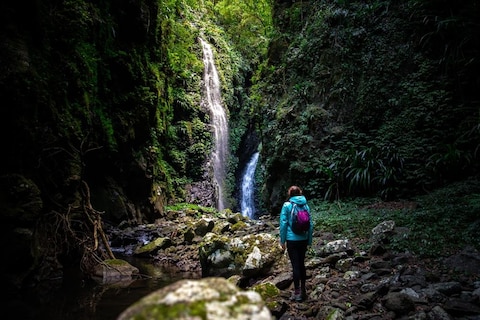 Lamington National Park